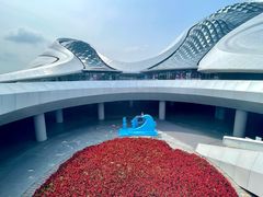 -哈尔滨大剧院