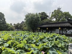 -丝绸小镇荻港古村