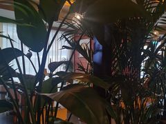 -泰吉象·纯正泰式按摩SPA(花园坊店)