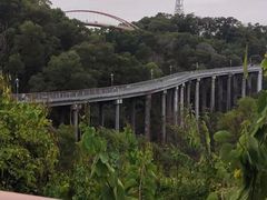 -金鸡山公园