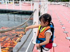 -绿城千岛湖喜来登度假酒店