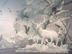 -中国湿地博物馆