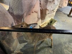 -酷嗒动物文化乐园(cutezoo西溪乐天城店)