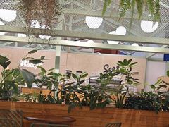 -Seesaw Coffee(上海太阳宫K46店)