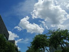 -麦当劳(温州人民路店)