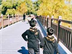 -北京麋鹿生态实验中心