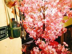 -可可大虾武汉土菜大排档(万松园1店)