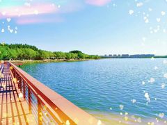 -丁香湖公园