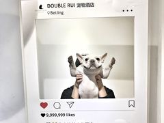 -Double Rui宠物酒店