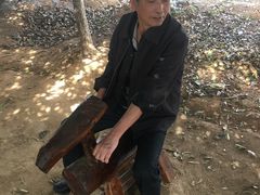 -武汉紫薇都市田园