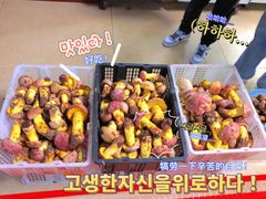 -双喜农庄·菌香园(安居家园店)