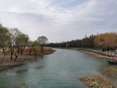 -太湖湖滨国家湿地公园-停车场