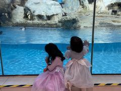 -帝企鹅自助餐厅•儿童岛•真企鹅(长隆企鹅酒店)