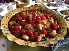 -力力豆花庄(广渠门店)