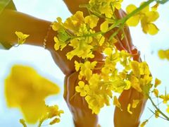 -西京湾花海