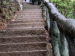 -梧桐山风景名胜区