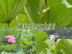 -什刹海