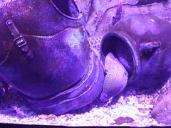 -波塞冬旅游度假区