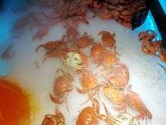 -星海汇海鲜烤肉火锅自助(二七广场百年德化店)