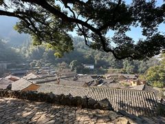 -杨家堂村