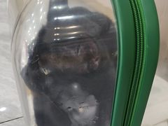 -芭比堂动物医院·24小时·眼科中心(深圳中心)