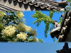 -白云观