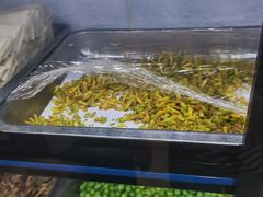 -海埂温馨饭店(金海荟·商业中心店)