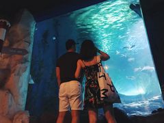-暹罗海洋世界