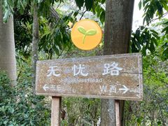 -深圳仙湖植物园
