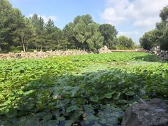 -红山国家森林公园