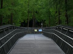 -福道