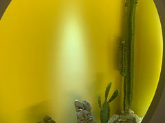 -得闲·高空SPA(东盟店)