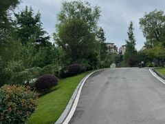 -东岳体育公园