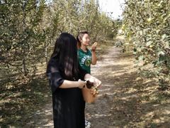 -意大利农场度假村