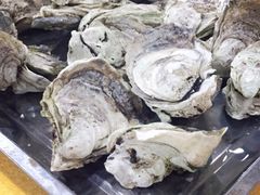 -蚝专家(北滘店)