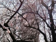-玲珑塔公园