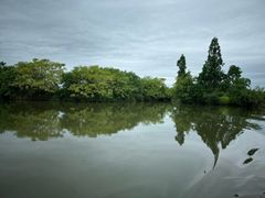 -白塔湖国家湿地公园