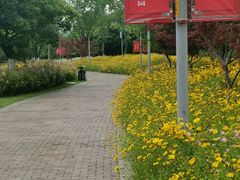 -映月湖中央公园
