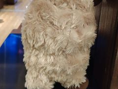 -九府羊·鲜羊火锅·烤串(新华路店)