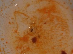 -三道菜(明堂公园店)