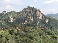 -大岭沟猕猴桃谷风景区
