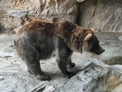 -珠海长隆海洋王国