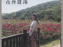 -龙寺生态园