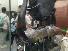 -荆州博物馆