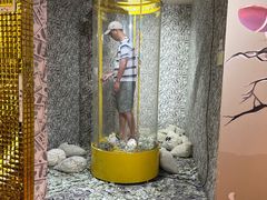 -不可思议减压馆·解压博物馆·摔碗发泄·团建定制