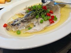 -海派悦庭·海胆烧麦·新融合菜(凯德广场店)