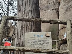 -嵖岈山风景区
