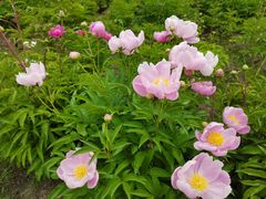 -长春公园(普阳街道)