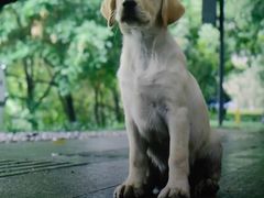 -金逸影城(影视中心IMAX店)