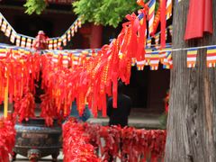 -少华山国家森林公园
